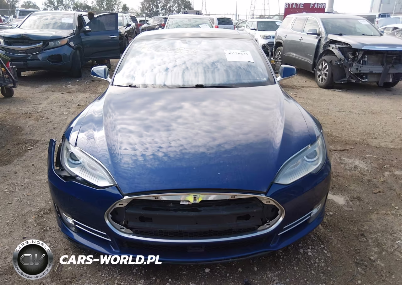2016 Tesla Model S 60D-70D-75D-85D-90D VIN:5YJSA1E27GF123862 - 12