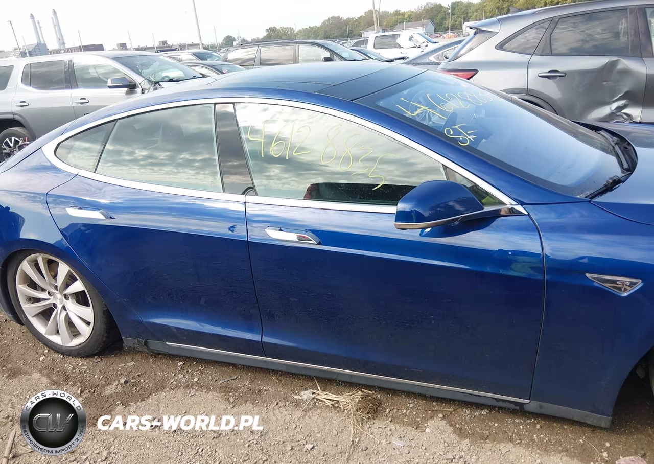 2016 Tesla Model S 60D-70D-75D-85D-90D VIN:5YJSA1E27GF123862 - 13