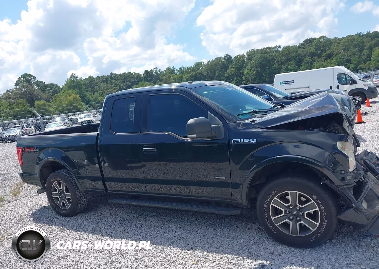 2015 Ford F-150 Xlt VIN:1FTEX1EP9FFB79271 - 13