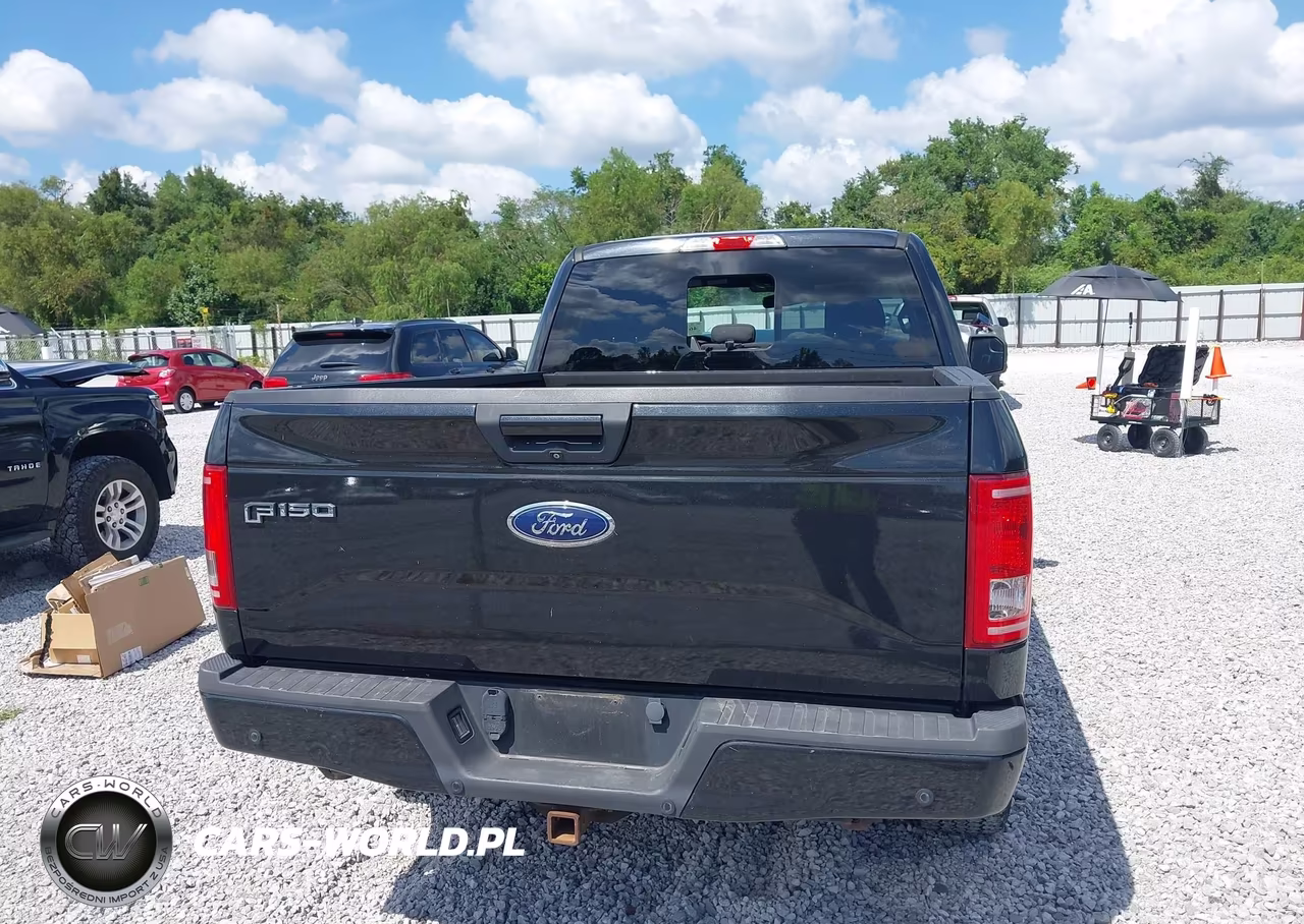 2015 Ford F-150 Xlt VIN:1FTEX1EP9FFB79271 - 16