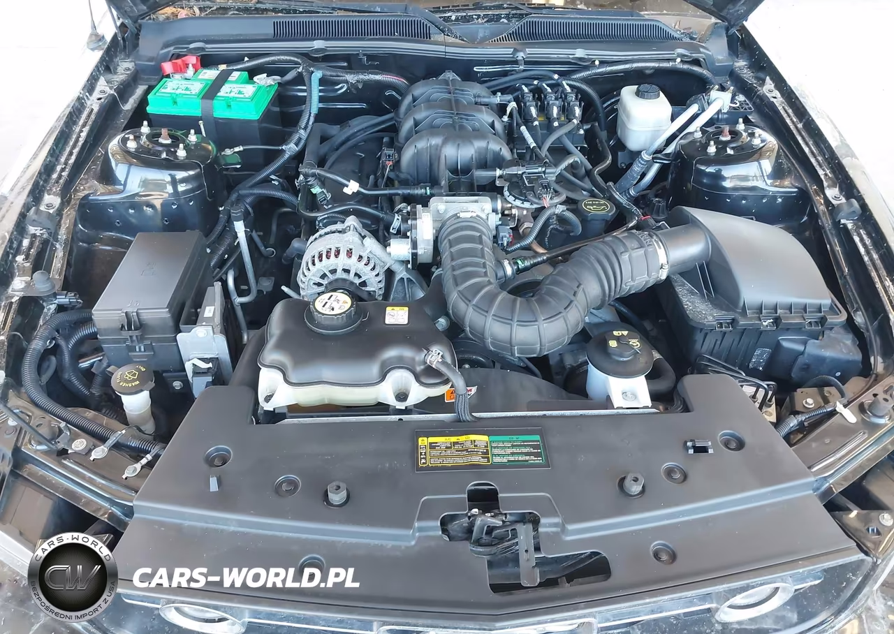 2008 Ford Mustang V6 Deluxe-V6 Premium VIN:1ZVHT80N885141298 - 10