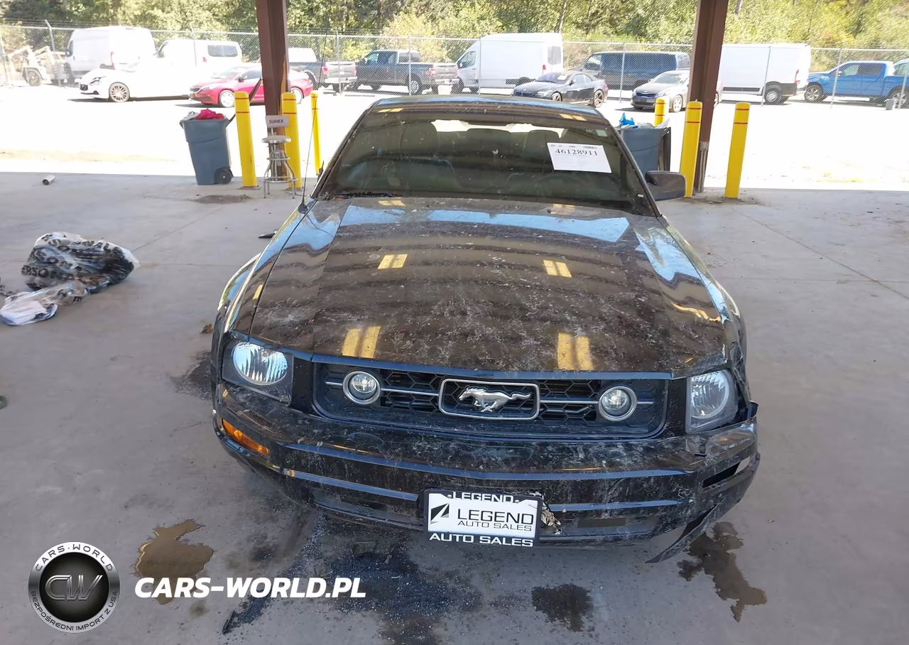 2008 Ford Mustang V6 Deluxe-V6 Premium VIN:1ZVHT80N885141298 - 13
