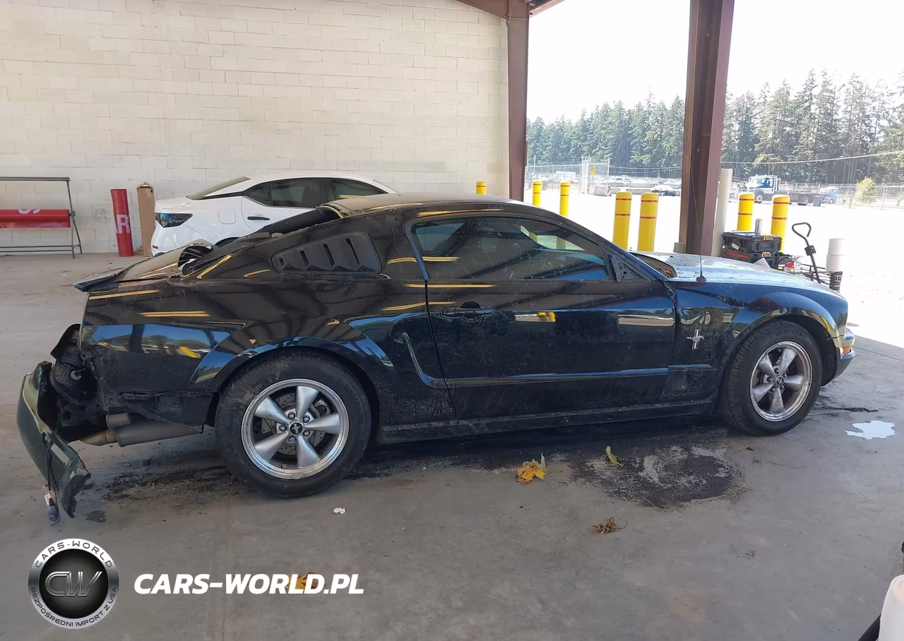 2008 Ford Mustang V6 Deluxe-V6 Premium VIN:1ZVHT80N885141298 - 14