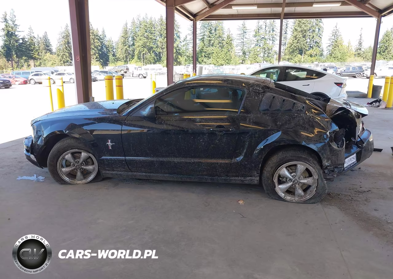 2008 Ford Mustang V6 Deluxe-V6 Premium VIN:1ZVHT80N885141298 - 15