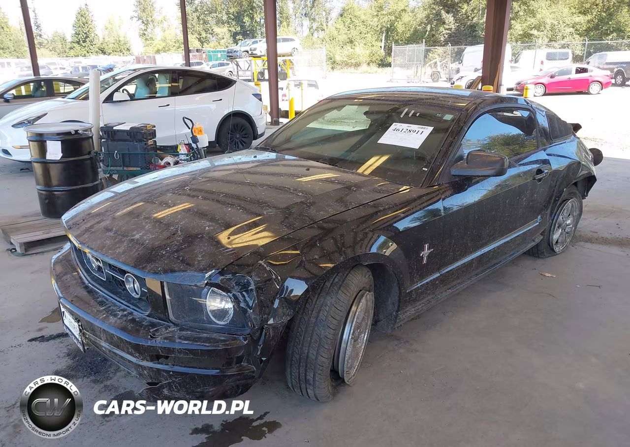 2008 Ford Mustang V6 Deluxe-V6 Premium VIN:1ZVHT80N885141298 - 2