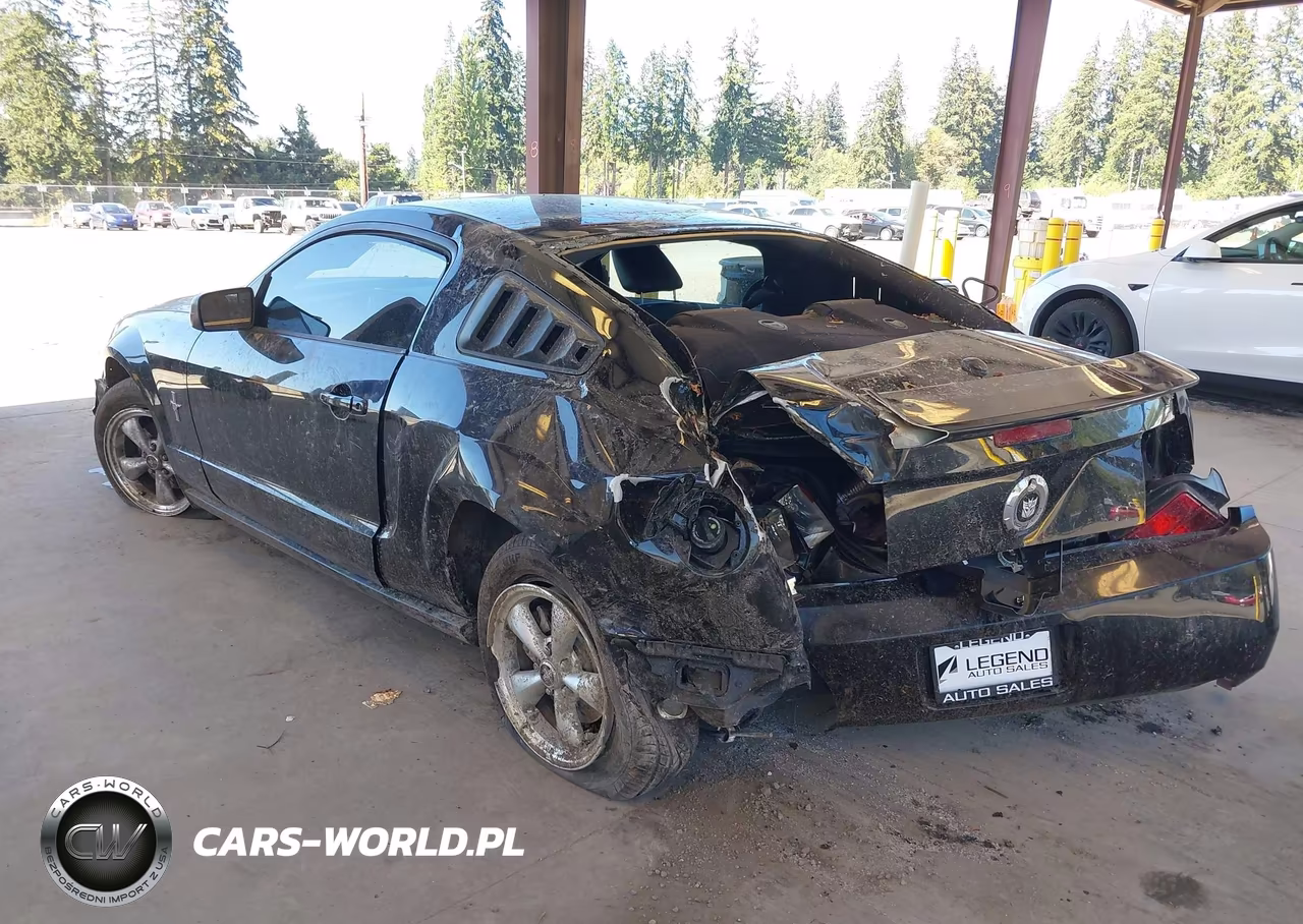2008 Ford Mustang V6 Deluxe-V6 Premium VIN:1ZVHT80N885141298 - 3