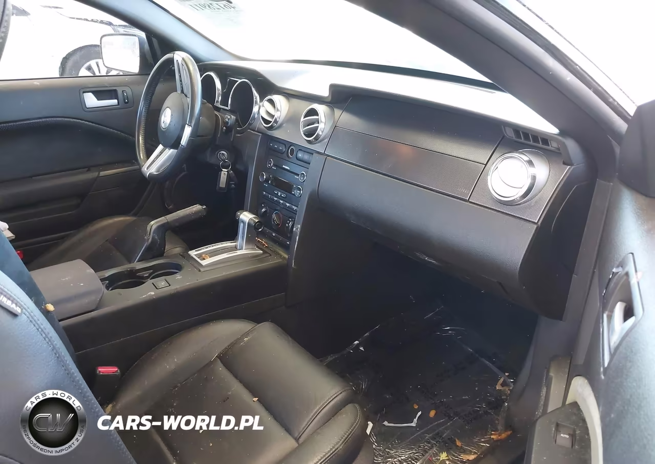 2008 Ford Mustang V6 Deluxe-V6 Premium VIN:1ZVHT80N885141298 - 5
