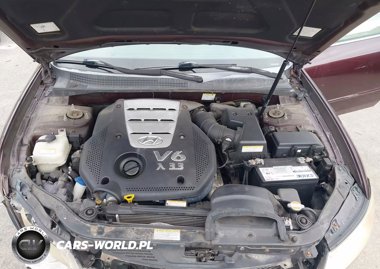 2006 Hyundai Sonata Gls V6-Lx V6 VIN:5NPEU46F56H001914 - 10