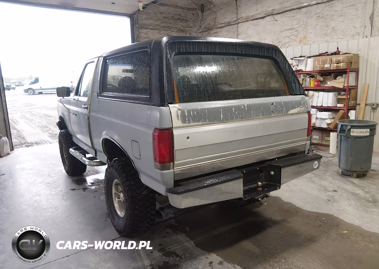 1989 Ford Bronco U100 VIN:1FMEU15N0KLA42296 - 3