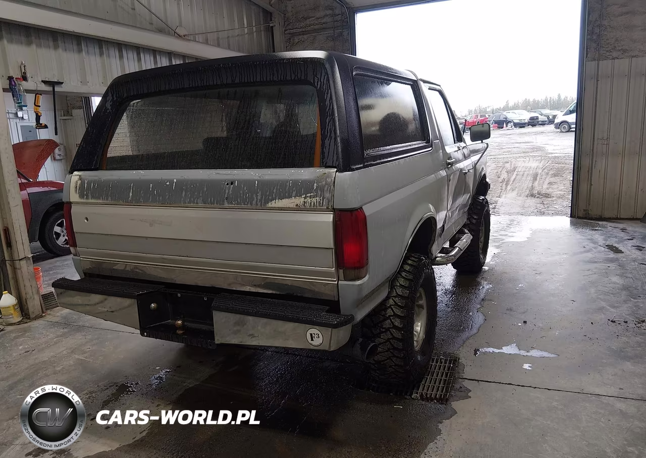 1989 Ford Bronco U100 VIN:1FMEU15N0KLA42296 - 4