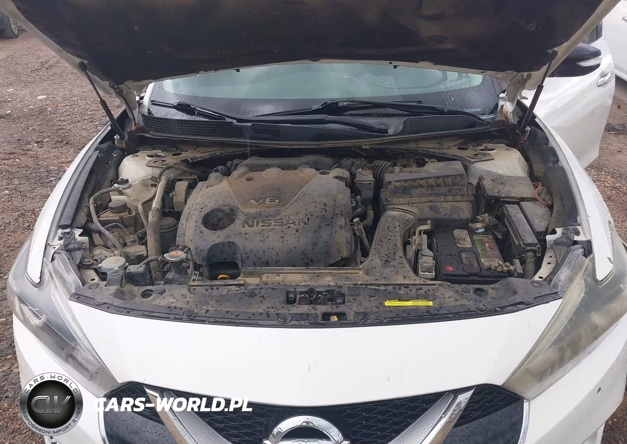 2017 Nissan Maxima 3.5 Sv VIN:1N4AA6AP4HC410316 - 10