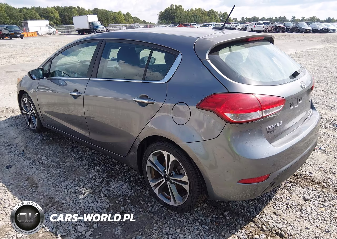 2016 Kia Forte Ex VIN:KNAFX5A88G5627224 - 3