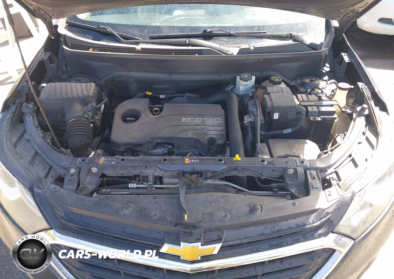 2019 Chevrolet Equinox Ls VIN:3GNAXSEV7KL184897 - 10