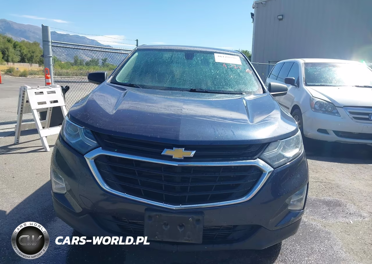 2019 Chevrolet Equinox Ls VIN:3GNAXSEV7KL184897 - 12