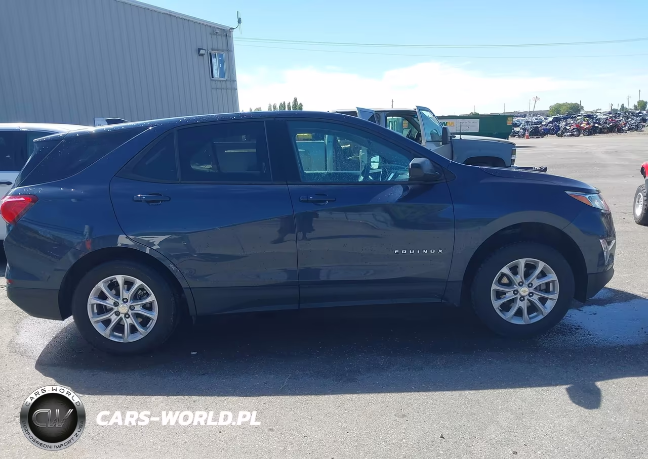 2019 Chevrolet Equinox Ls VIN:3GNAXSEV7KL184897 - 13