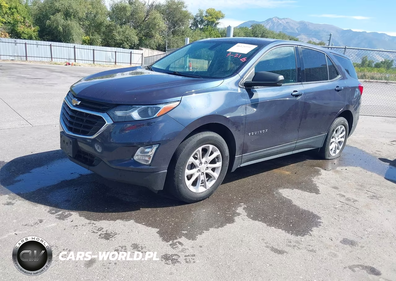 2019 Chevrolet Equinox Ls VIN:3GNAXSEV7KL184897 - 2