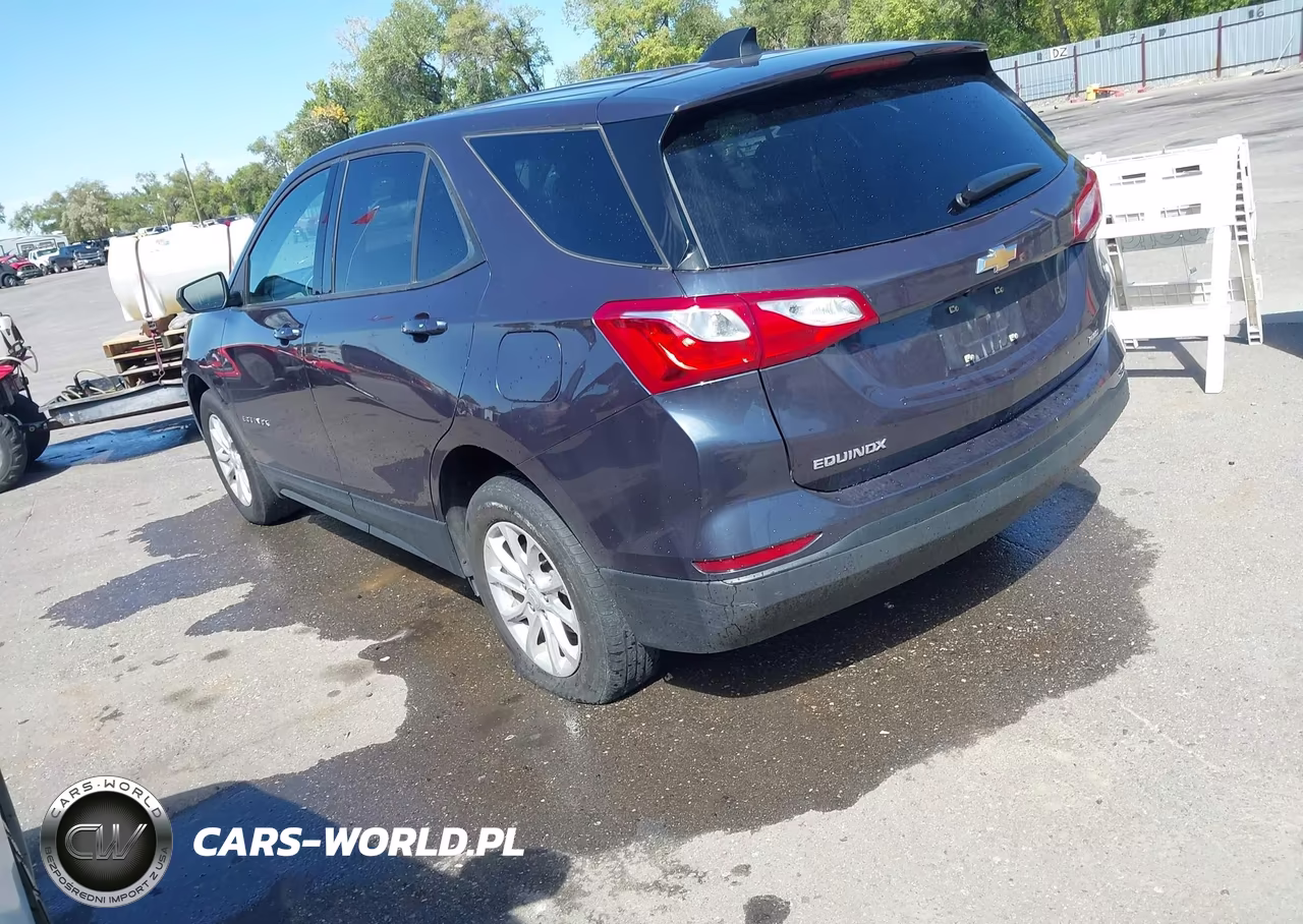2019 Chevrolet Equinox Ls VIN:3GNAXSEV7KL184897 - 3