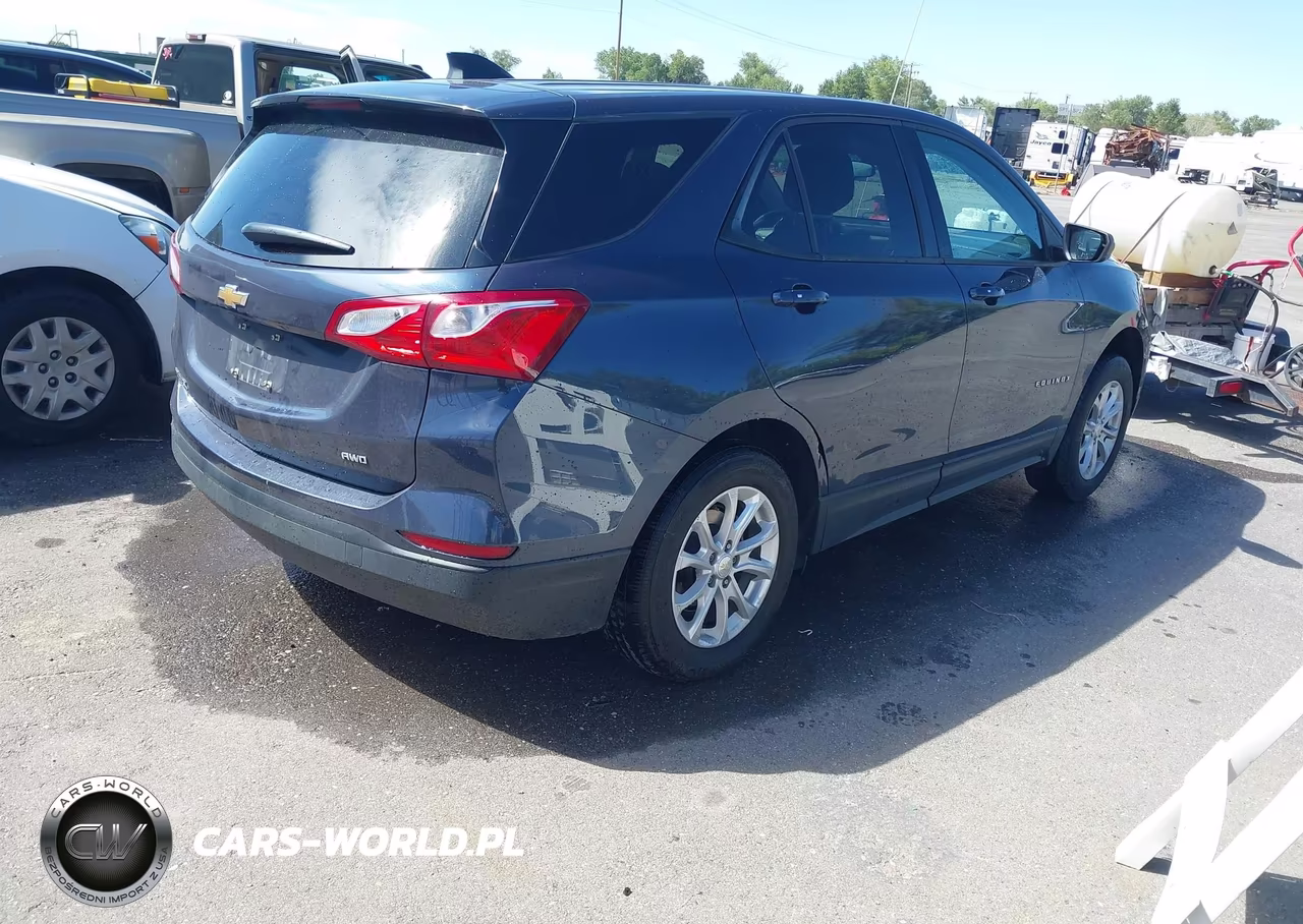2019 Chevrolet Equinox Ls VIN:3GNAXSEV7KL184897 - 4