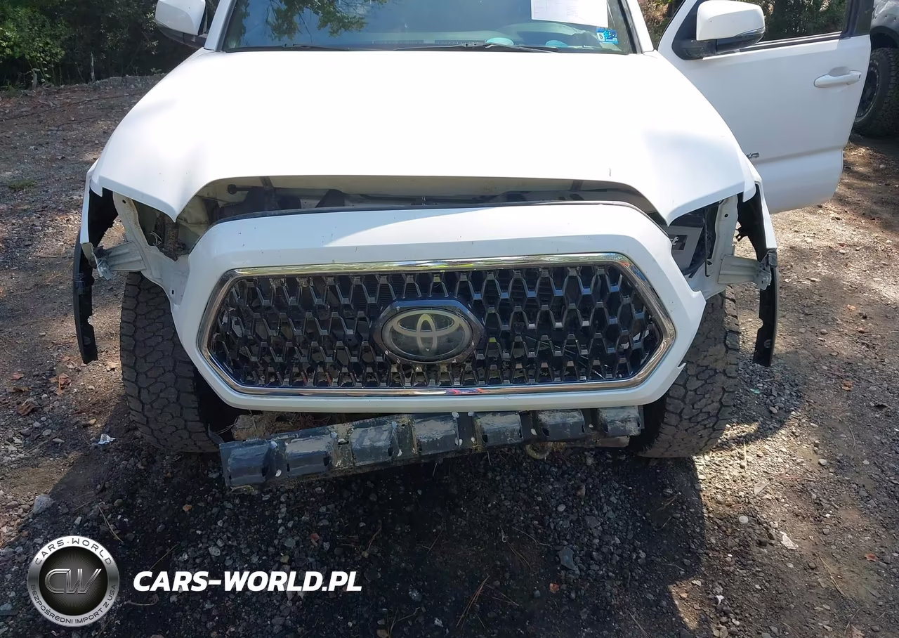 2019 Toyota Tacoma Trd Off Road VIN:3TMCZ5ANXKM220949 - 6