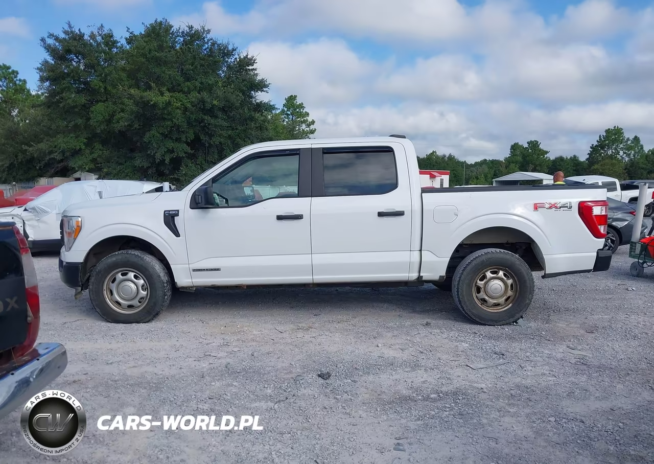 2021 Ford F-150 Xl VIN:1FTFW1E19MFC59511 - 14