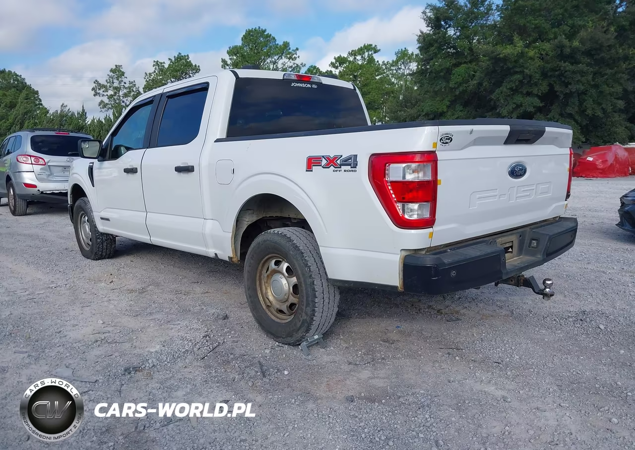 2021 Ford F-150 Xl VIN:1FTFW1E19MFC59511 - 3