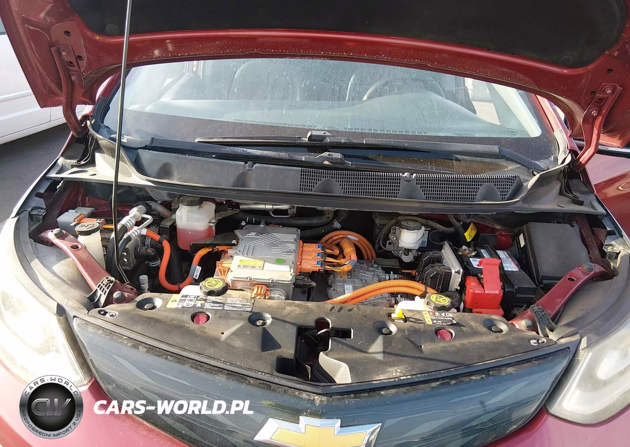 2017 Chevrolet Bolt Ev Premier VIN:1G1FX6S06H4180071 - 10