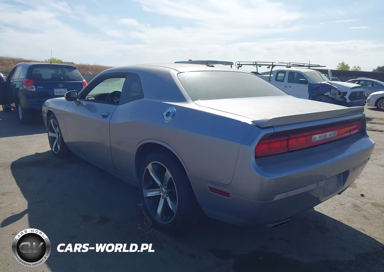 2014 Dodge Challenger Sxt 100Th Anniversary Appearance Group VIN:2C3CDYAG3EH229744 - 3