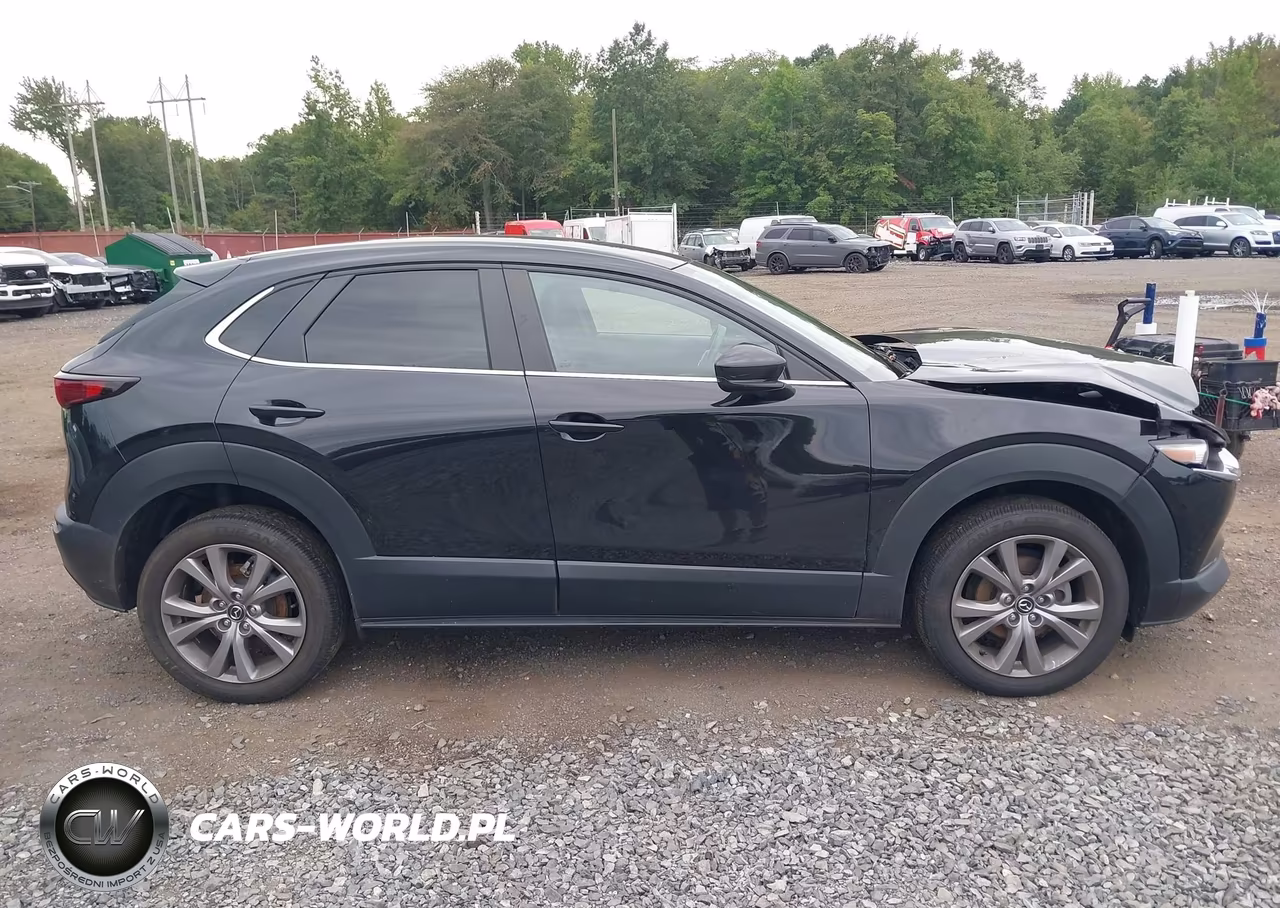 2023 Mazda Cx-30 2.5 S Select VIN:3MVDMBBMXPM508841 - 13