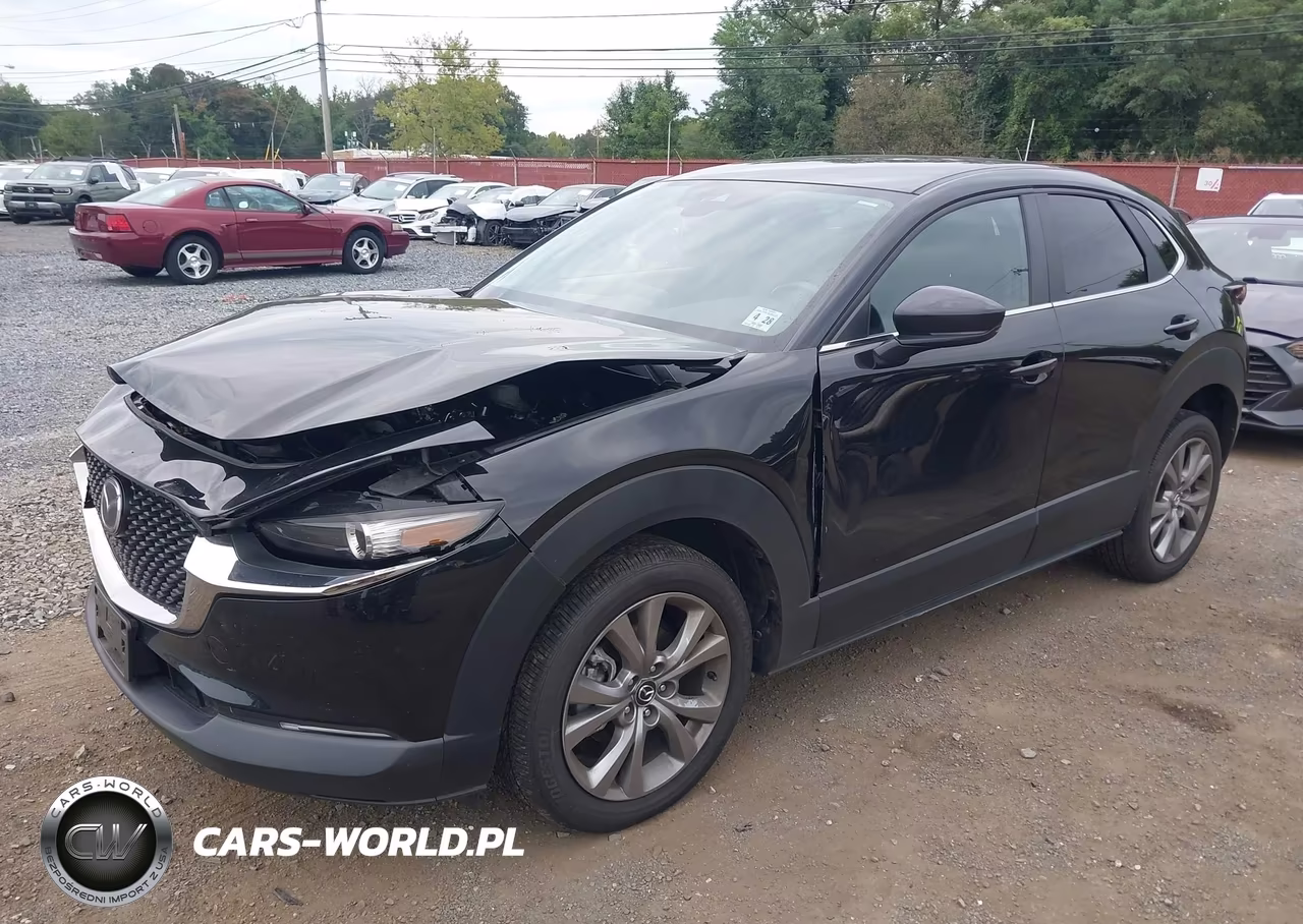 2023 Mazda Cx-30 2.5 S Select VIN:3MVDMBBMXPM508841 - 17