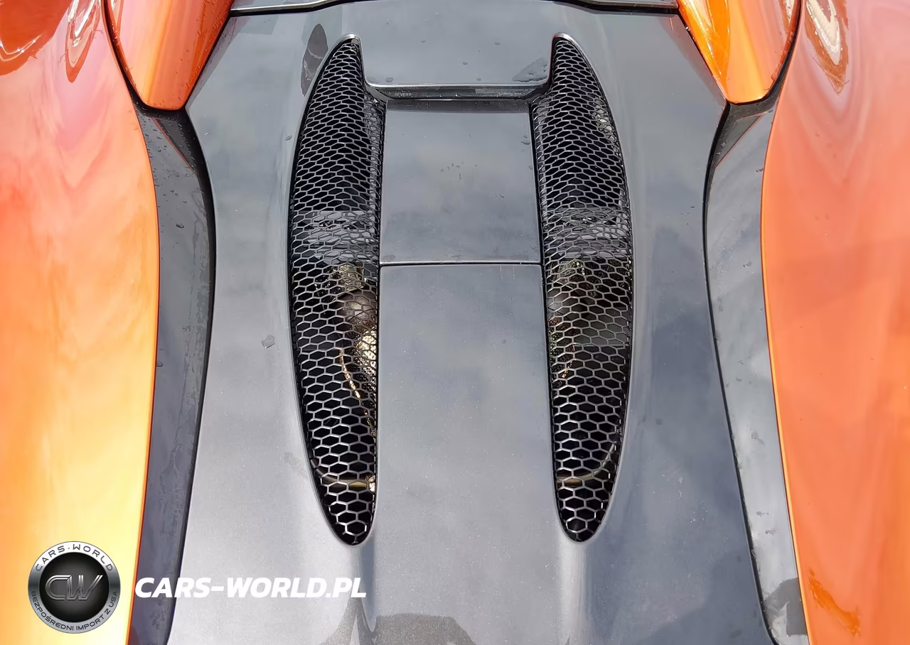 2019 Mclaren 570S VIN:SBM13FAA9KW006425 - 10