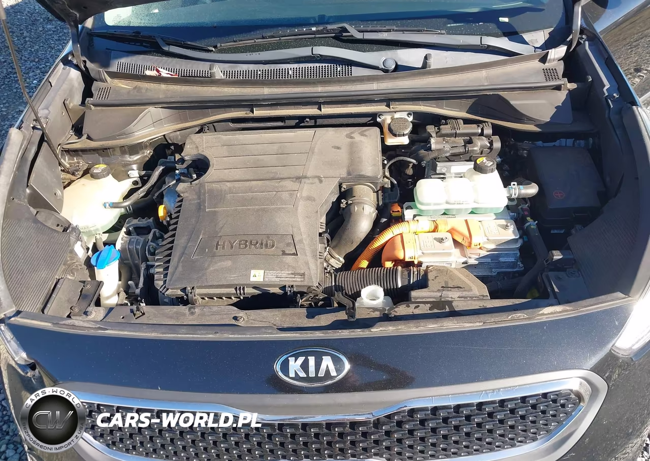 2019 Kia Niro Lx VIN:KNDCB3LC3K5341106 - 10