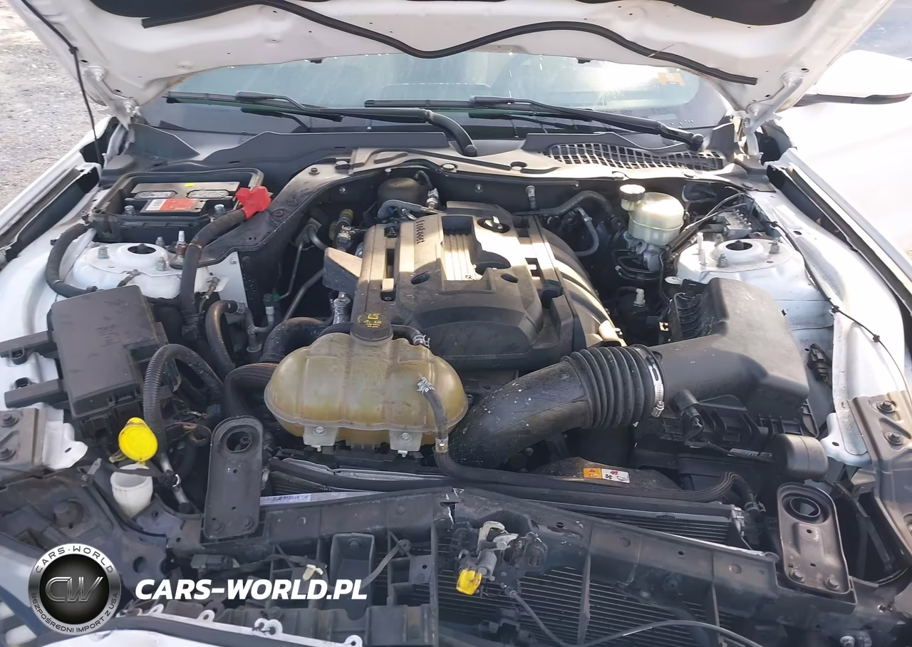 2017 Ford Mustang Ecoboost VIN:1FA6P8TH4H5218162 - 10