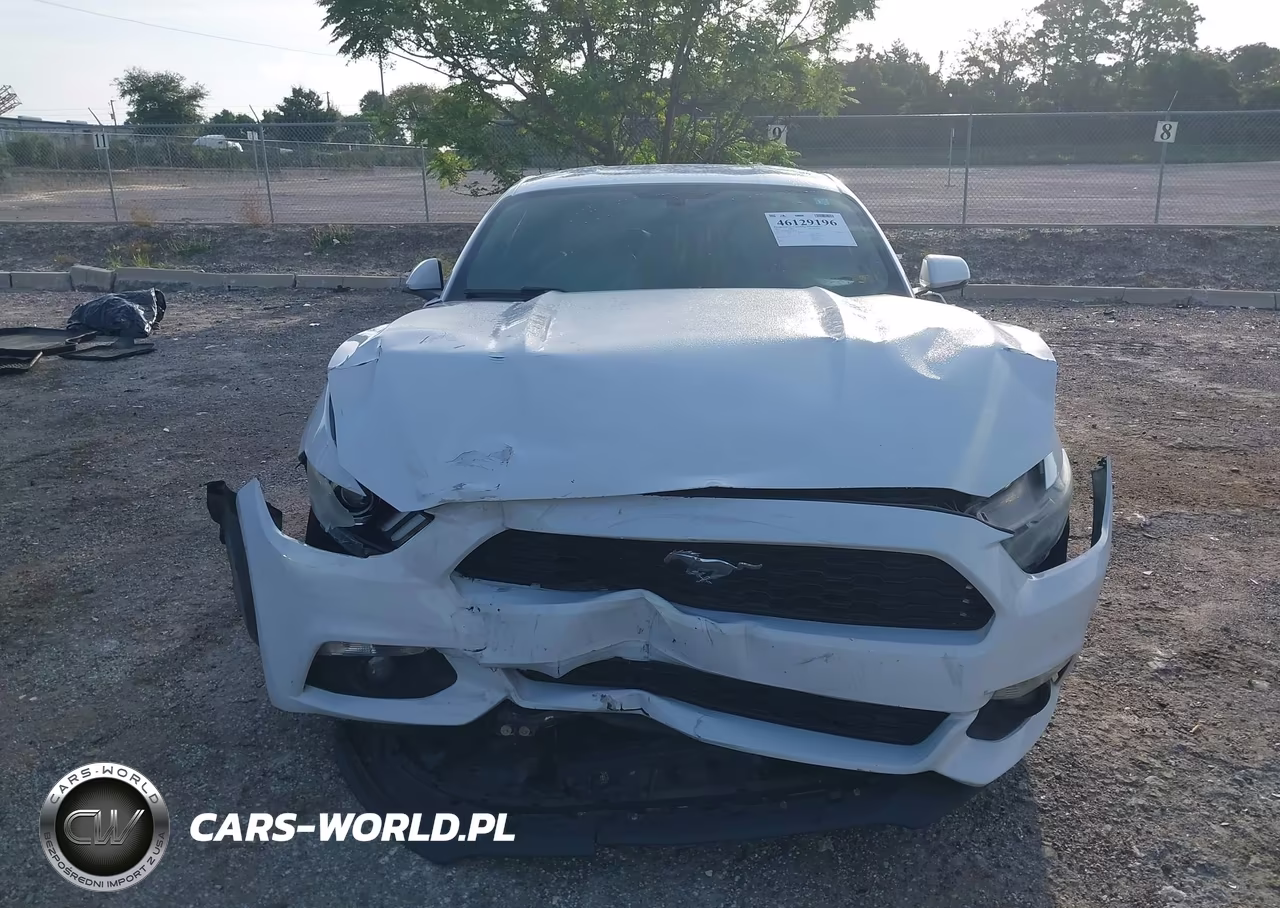 2017 Ford Mustang Ecoboost VIN:1FA6P8TH4H5218162 - 12