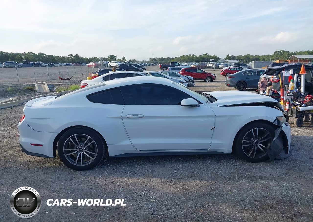 2017 Ford Mustang Ecoboost VIN:1FA6P8TH4H5218162 - 13