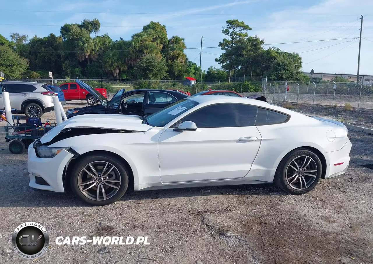 2017 Ford Mustang Ecoboost VIN:1FA6P8TH4H5218162 - 14