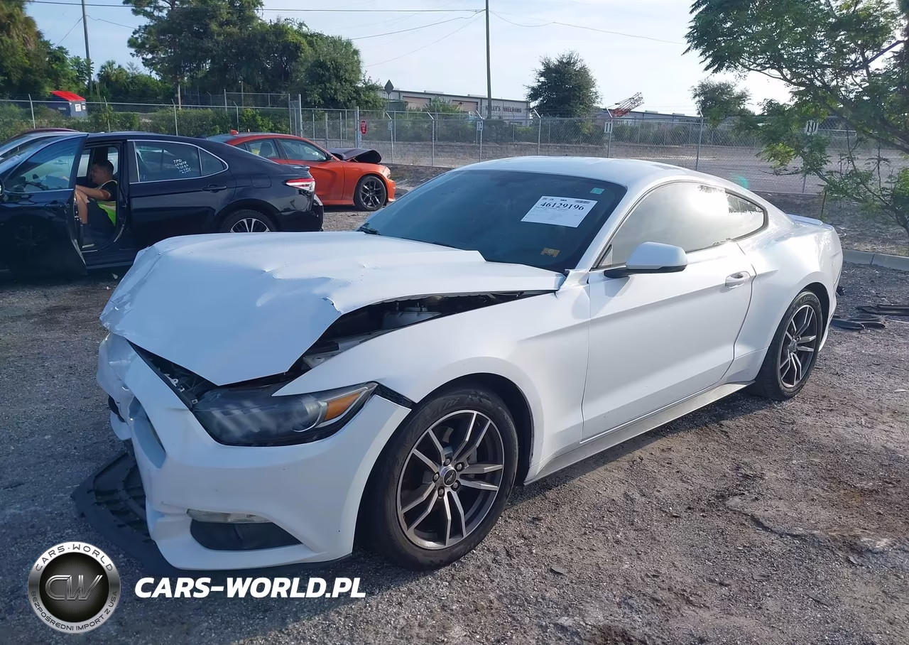 2017 Ford Mustang Ecoboost VIN:1FA6P8TH4H5218162 - 2