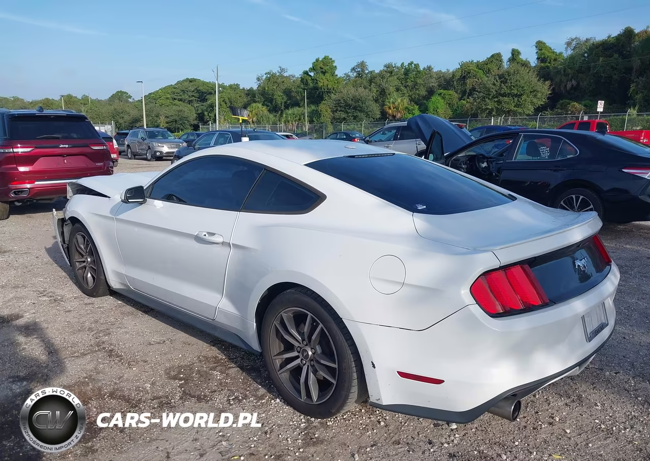 2017 Ford Mustang Ecoboost VIN:1FA6P8TH4H5218162 - 3