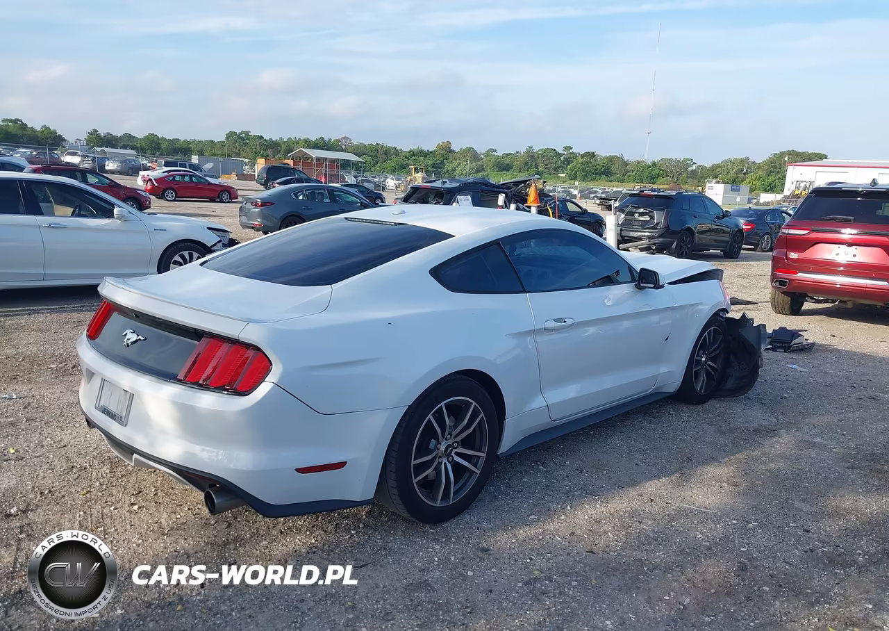 2017 Ford Mustang Ecoboost VIN:1FA6P8TH4H5218162 - 4