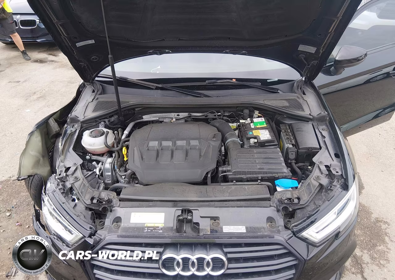 2020 Audi A3 Premium Plus 45 Tfsi S Line Quattro S Tronic VIN:WAUJEGFF3LA097894 - 10