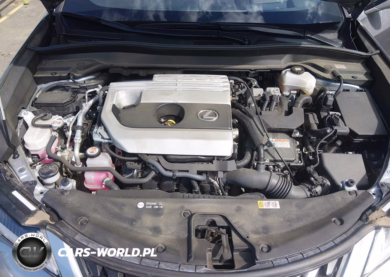 2024 Lexus Ux 250H Premium VIN:JTHP9JBH0R2074922 - 10