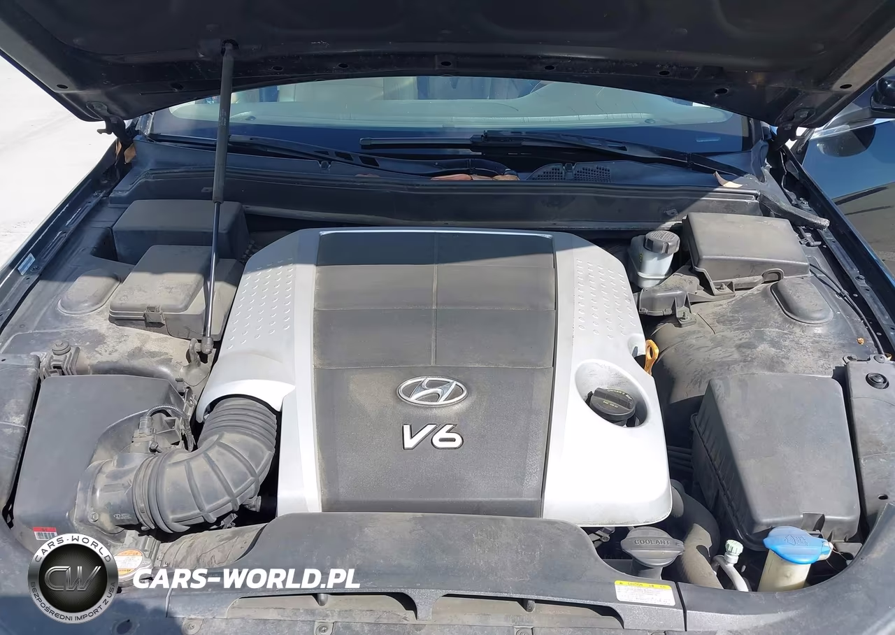 2010 Hyundai Genesis 3.8 VIN:KMHGC4DEXAU086247 - 10