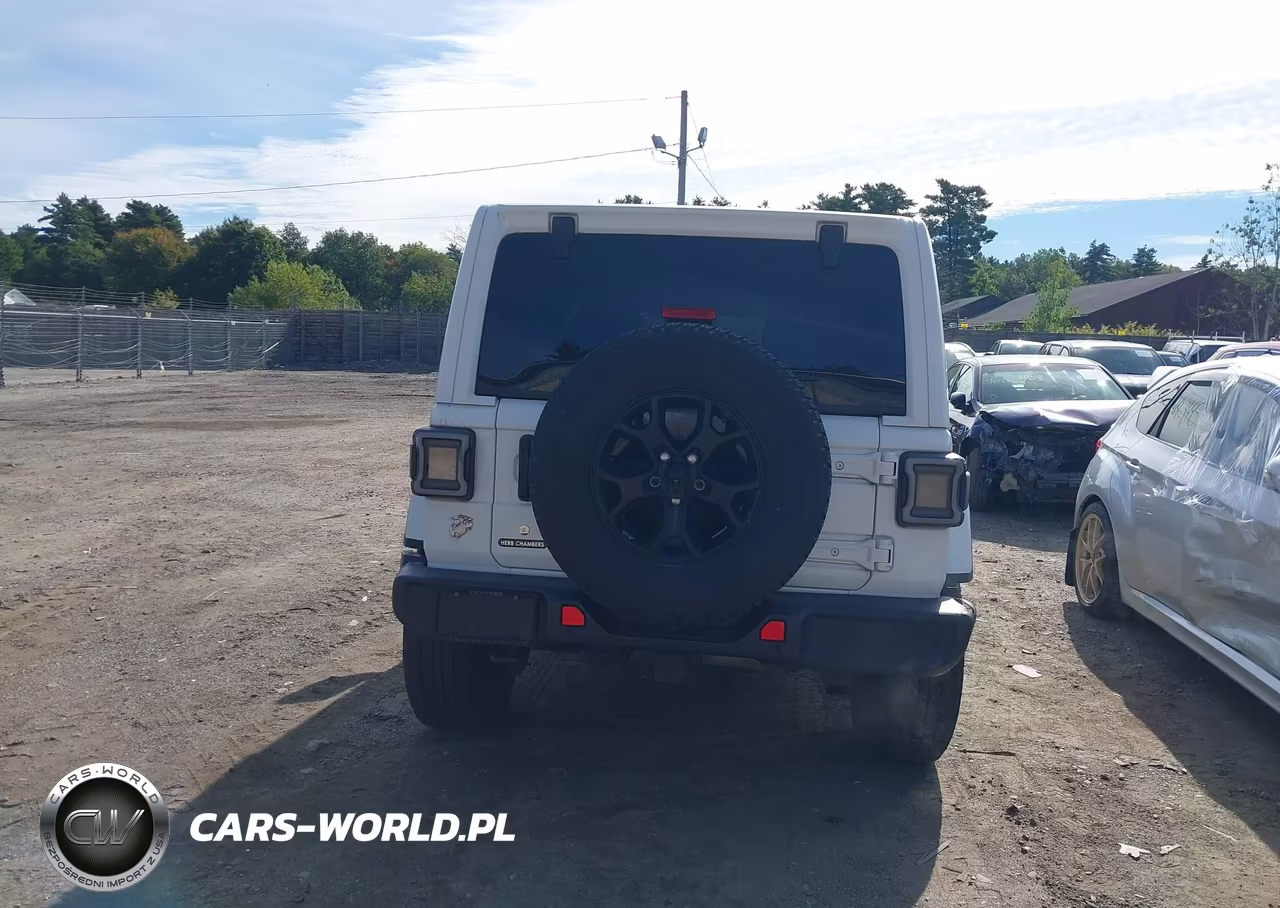 2019 Jeep Wrangler Unlimited Moab 4X4 VIN:1C4HJXEGXKW554953 - 16
