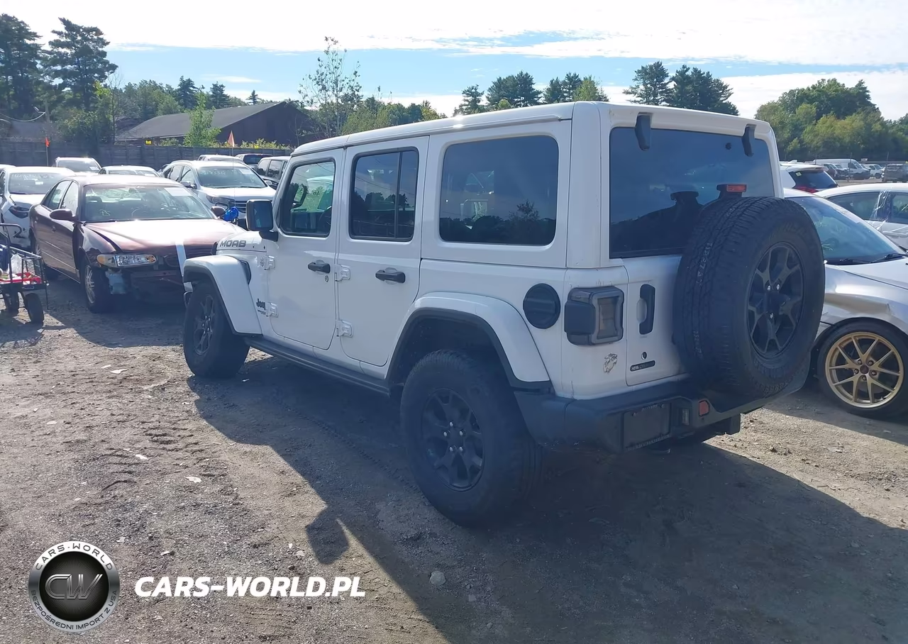 2019 Jeep Wrangler Unlimited Moab 4X4 VIN:1C4HJXEGXKW554953 - 3