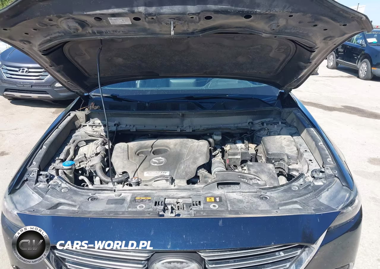 2016 Mazda Cx-9 Grand Touring VIN:JM3TCBDY7G0104017 - 10