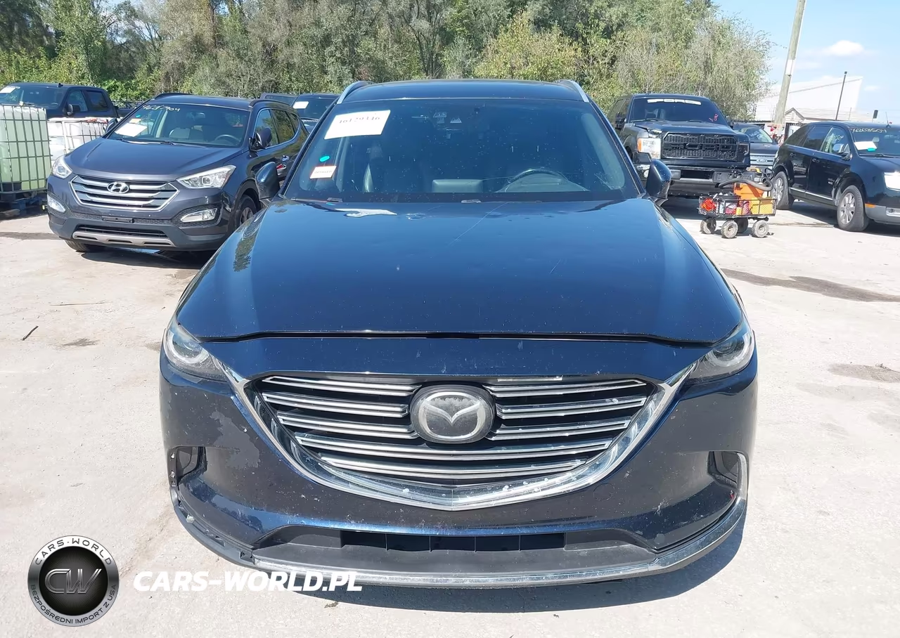 2016 Mazda Cx-9 Grand Touring VIN:JM3TCBDY7G0104017 - 12