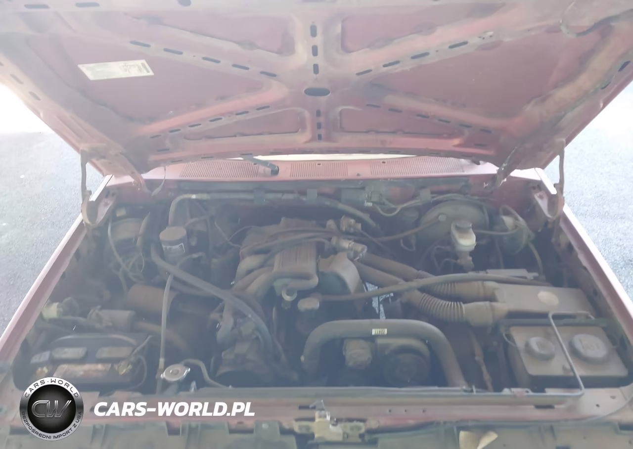 1991 Ford F150 VIN:1FTDF15Y3MPA93355 - 10
