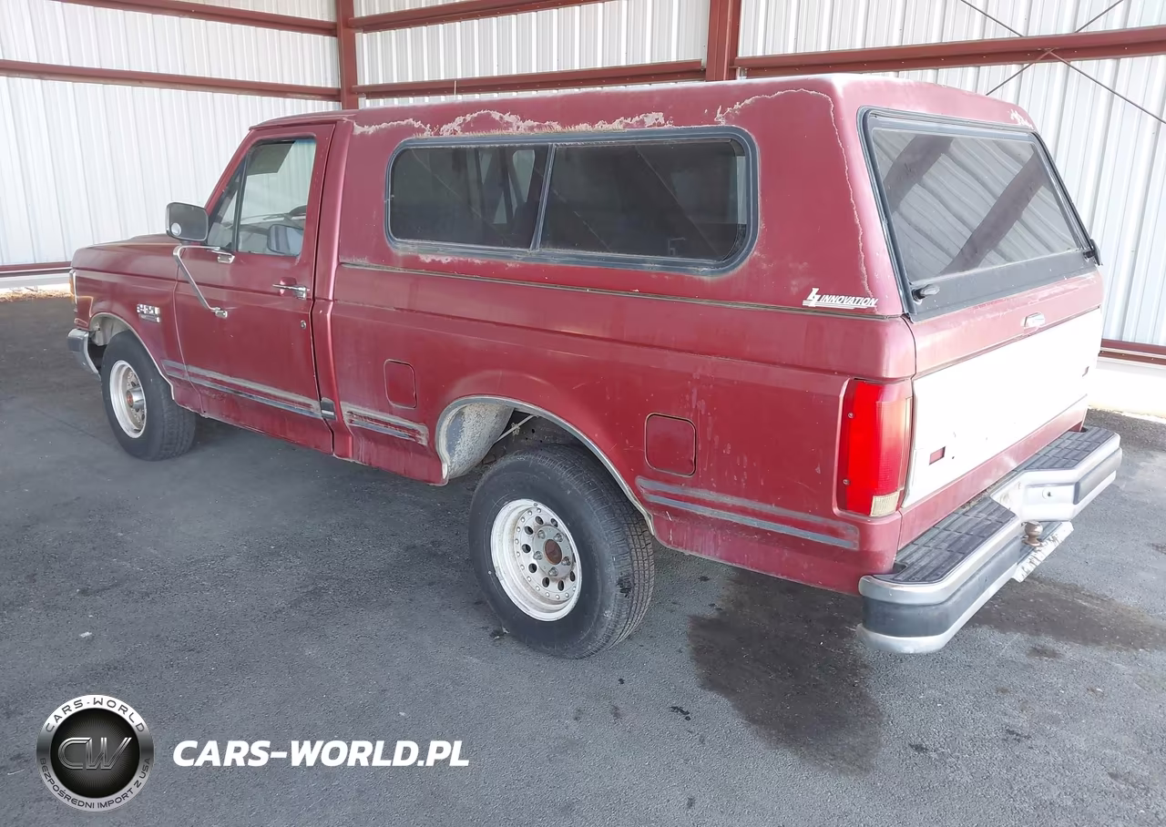 1991 Ford F150 VIN:1FTDF15Y3MPA93355 - 3