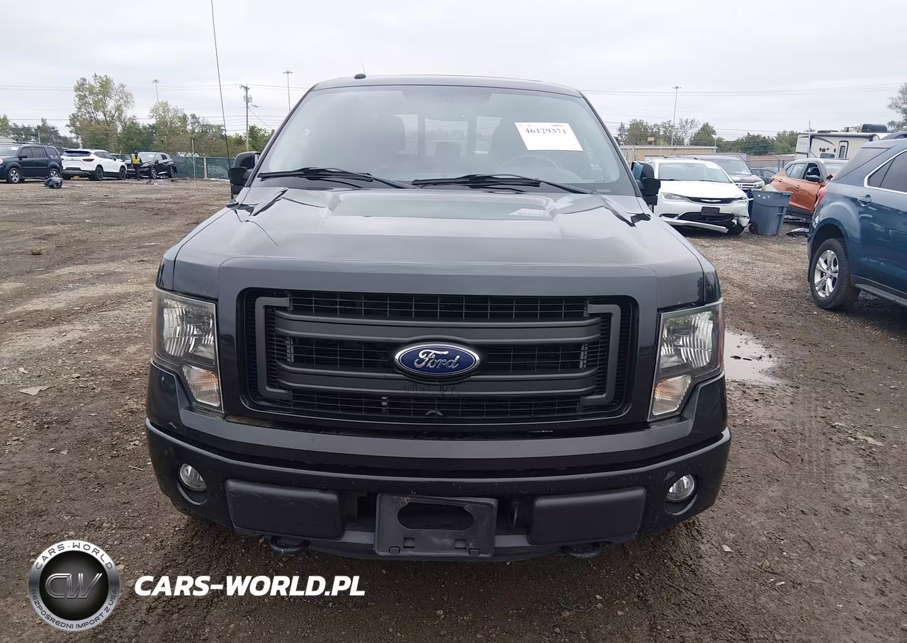 2014 Ford F-150 Fx4 VIN:1FTFW1EF5EKF84919 - 12