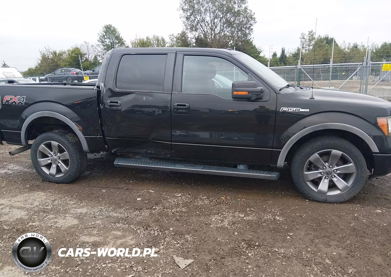 2014 Ford F-150 Fx4 VIN:1FTFW1EF5EKF84919 - 13