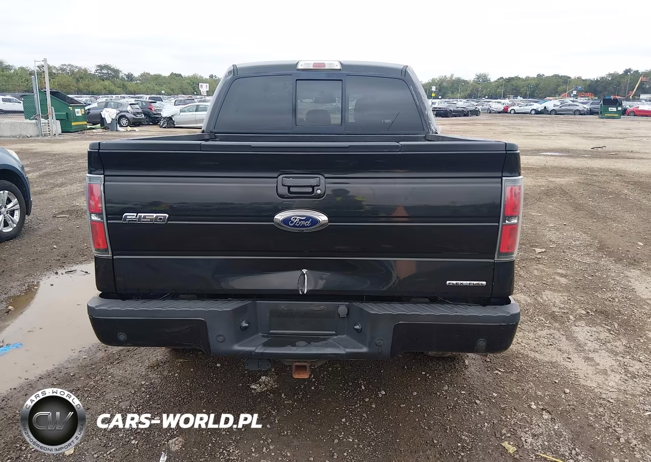 2014 Ford F-150 Fx4 VIN:1FTFW1EF5EKF84919 - 16